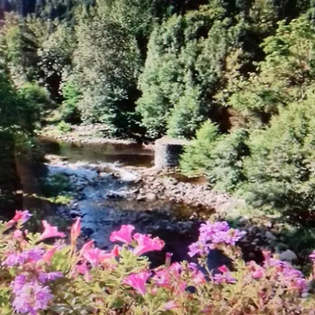 度假居 Rochel Saint-Julien-Boutieres